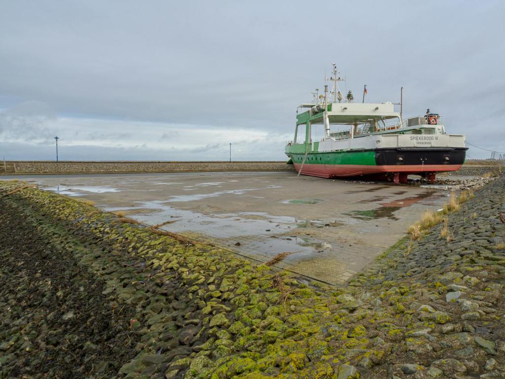 Hoch im Norden: Kickers Emden