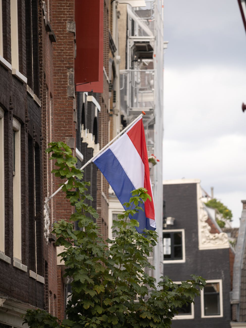 SC Heerenveen: Traditionsclub unter dem Radar